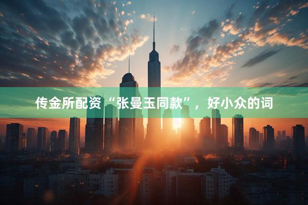 传金所配资 “张曼玉同款”，好小众的词